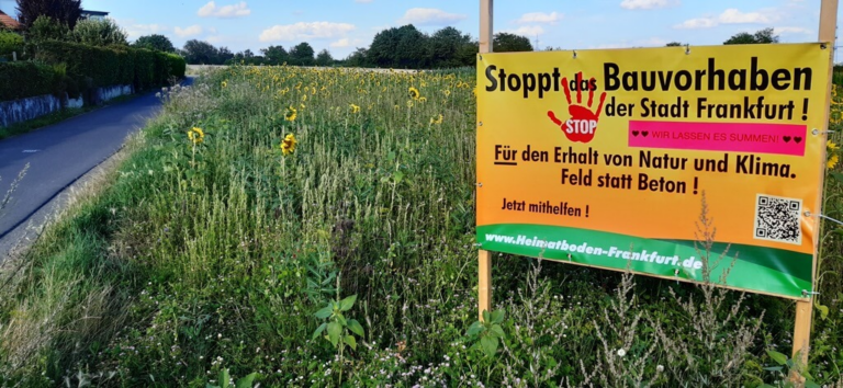 Wenn das die Frankfurter wüssten… dann hätten wir morgen eine Revolte/Aufruhr!